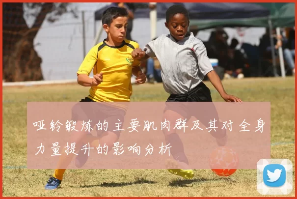 哑铃锻炼的主要肌肉群及其对全身力量提升的影响分析